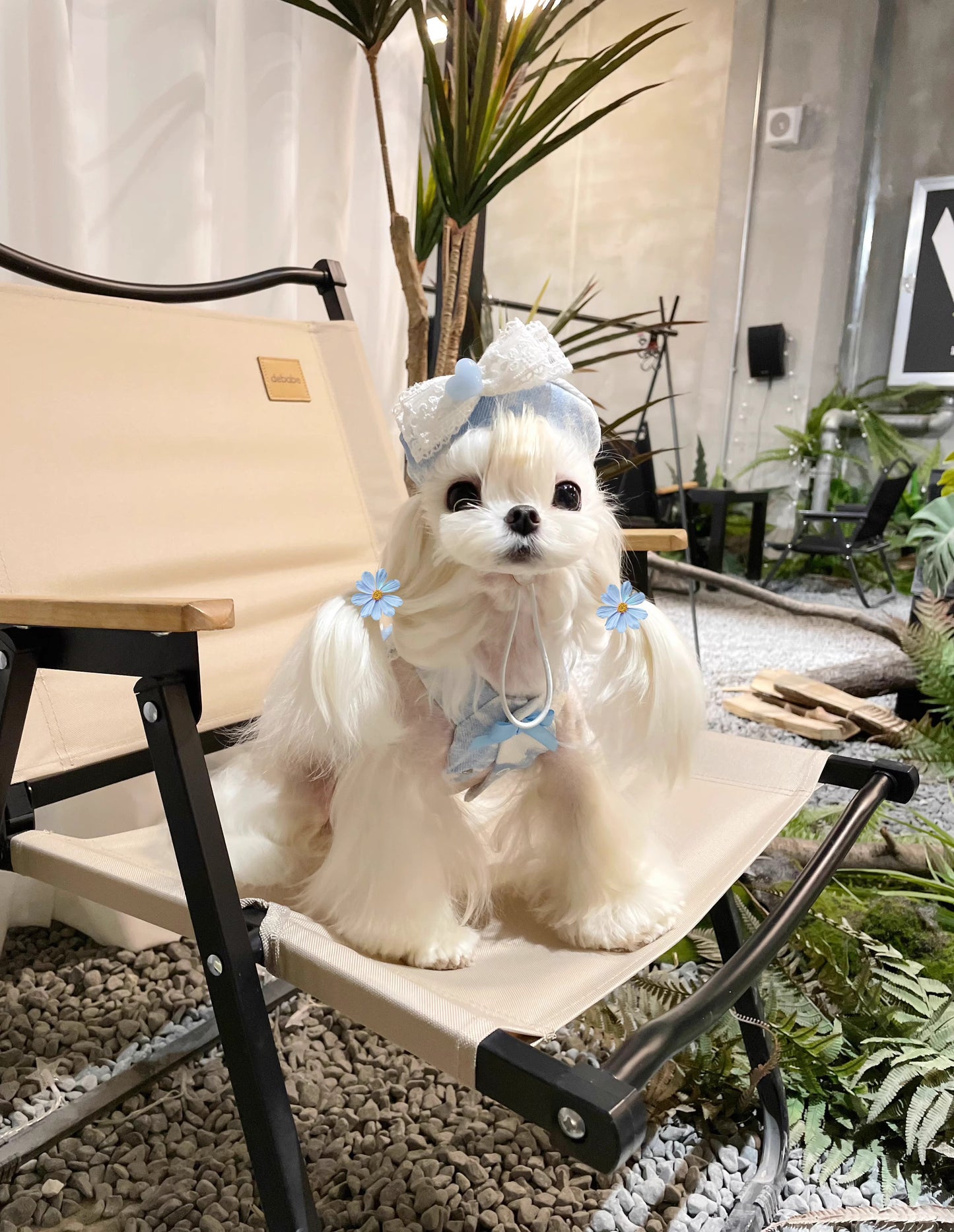 Summer | Light Denim Princess Style Pet Tutu Dress - Customizable