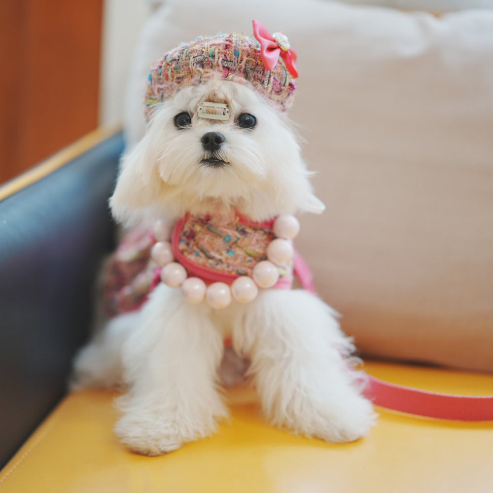 Tweed-style dog chest harness with cat vest-style leash and matching hat