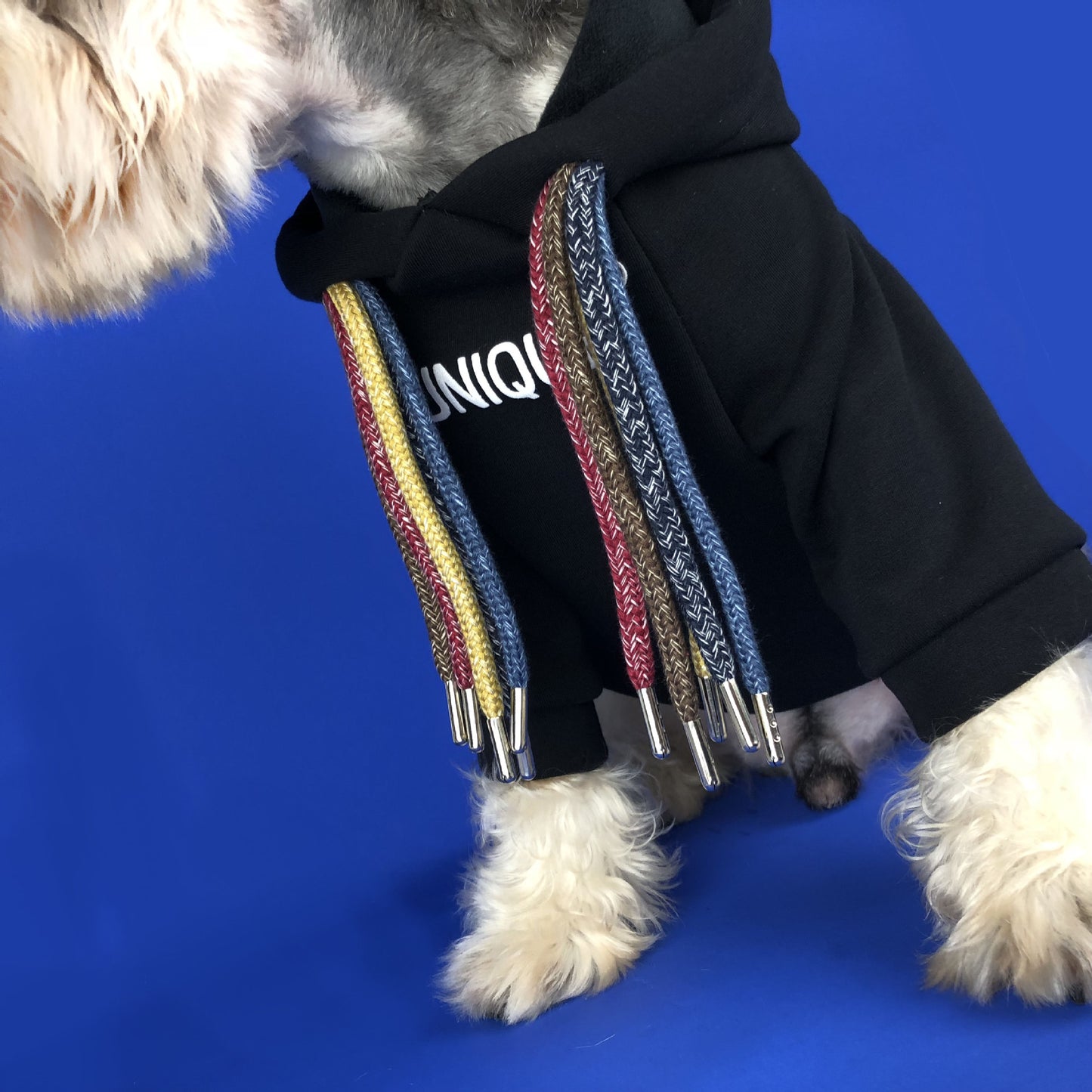 Slogan Lucky Dog Fashion Hoodie