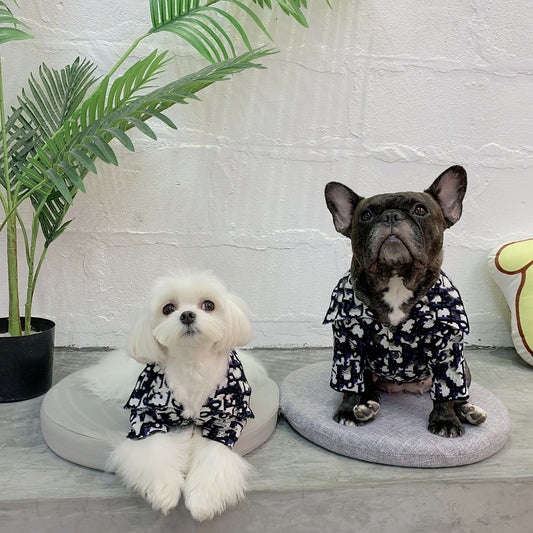 Bold Print Big Collar Sweater