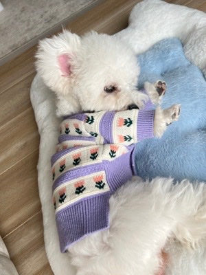 Purple Floral Pet Cardigan