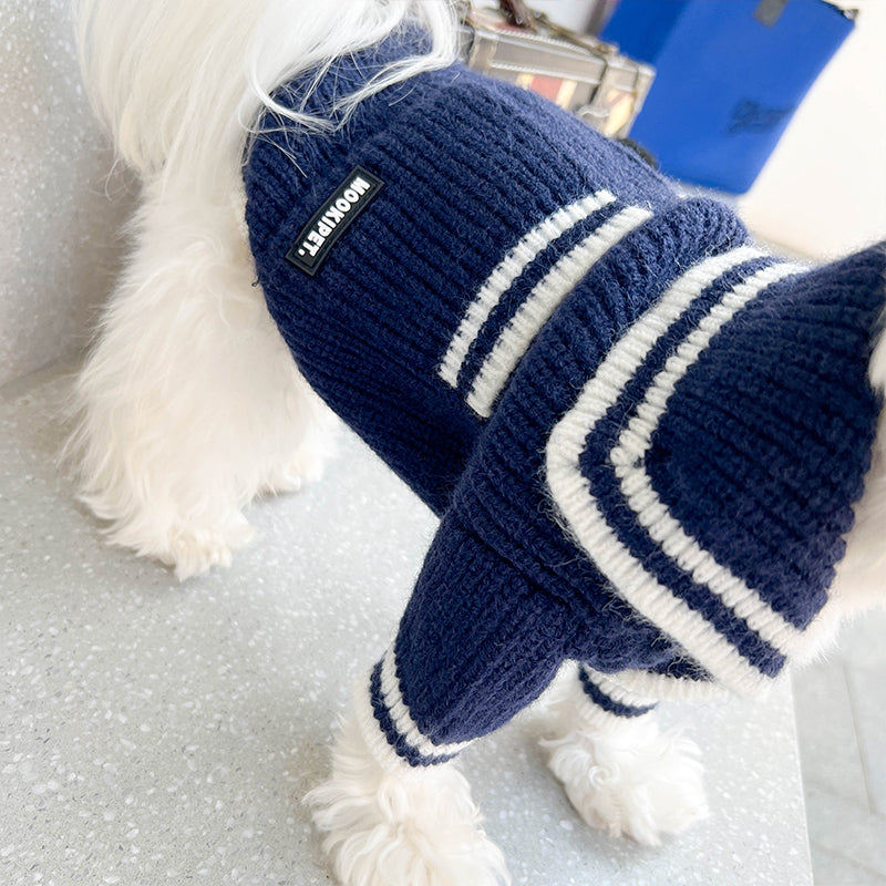 Navy Crew Bold Contrast Color Sweater