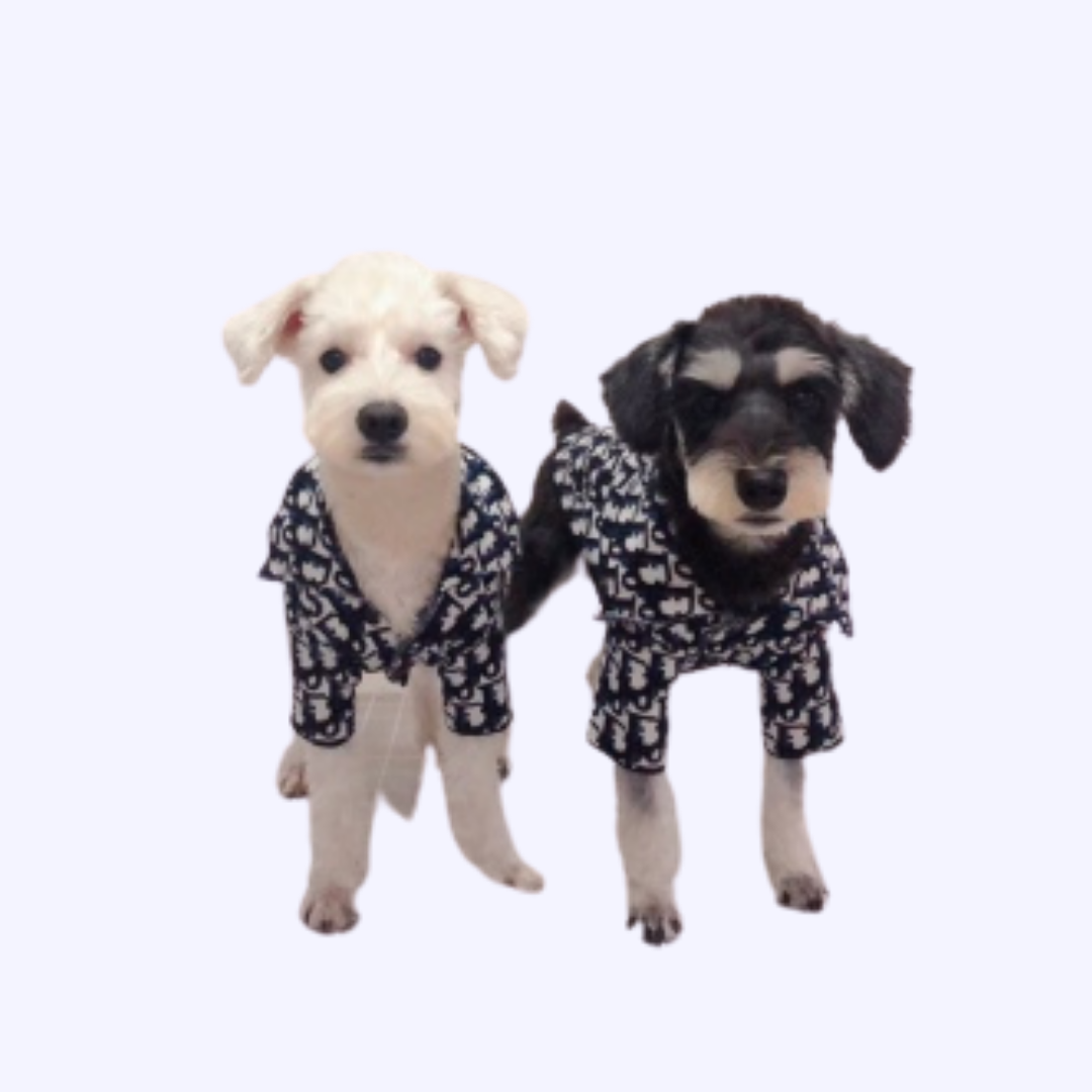 Fashion Pet Oversized Collar Dog Sweater