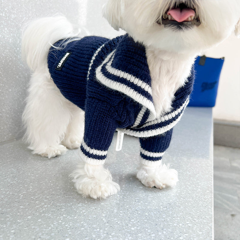 Navy Crew Bold Contrast Color Sweater