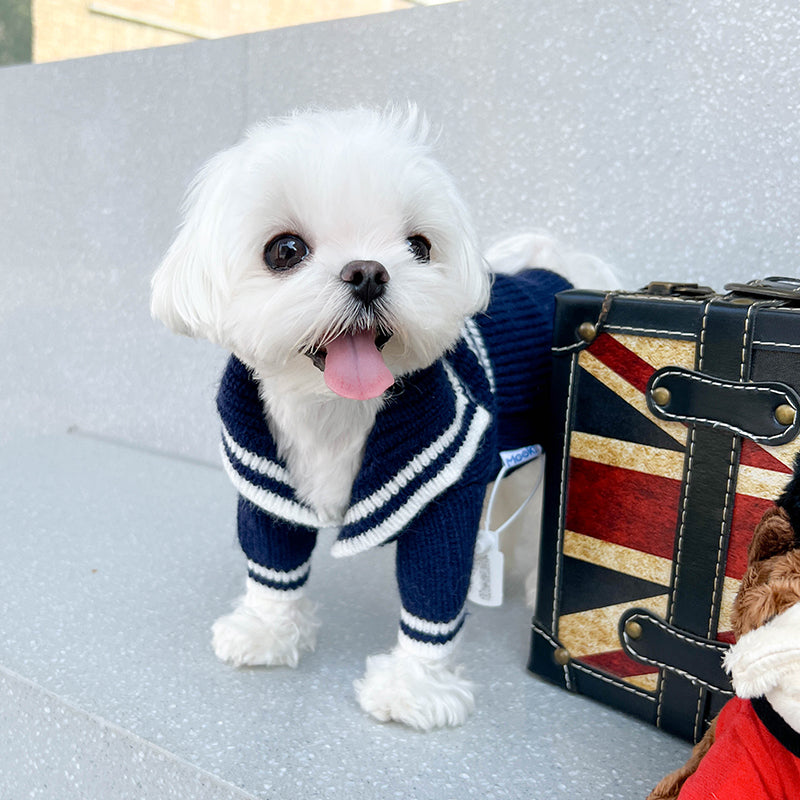 Navy Crew Bold Contrast Color Sweater