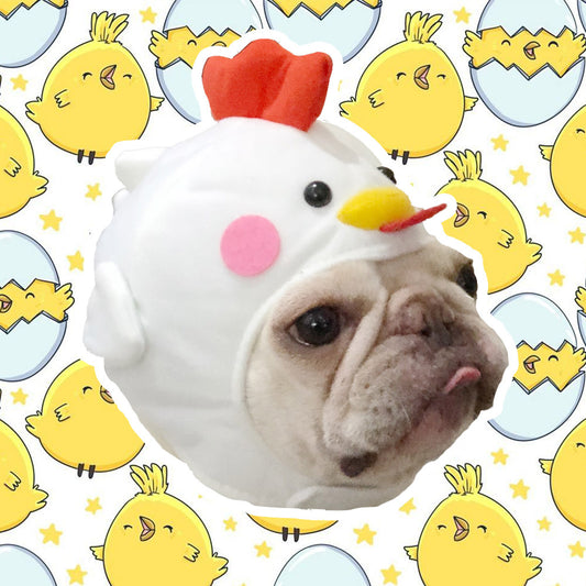 Cute Costume Chicken Hat | For Dogs and Cats