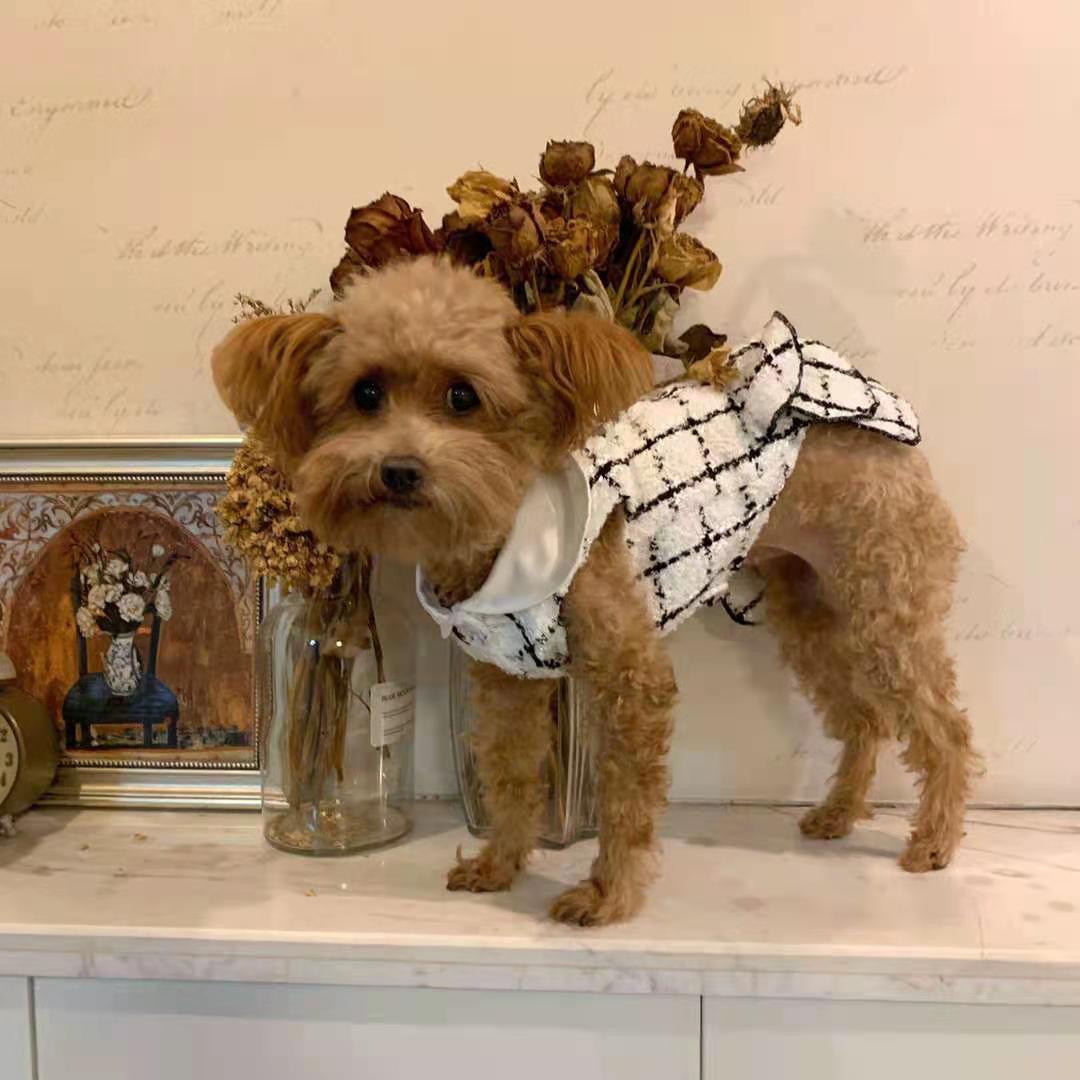 Coco Tweed Style Monochrome Pet Dress | Winter Version Available