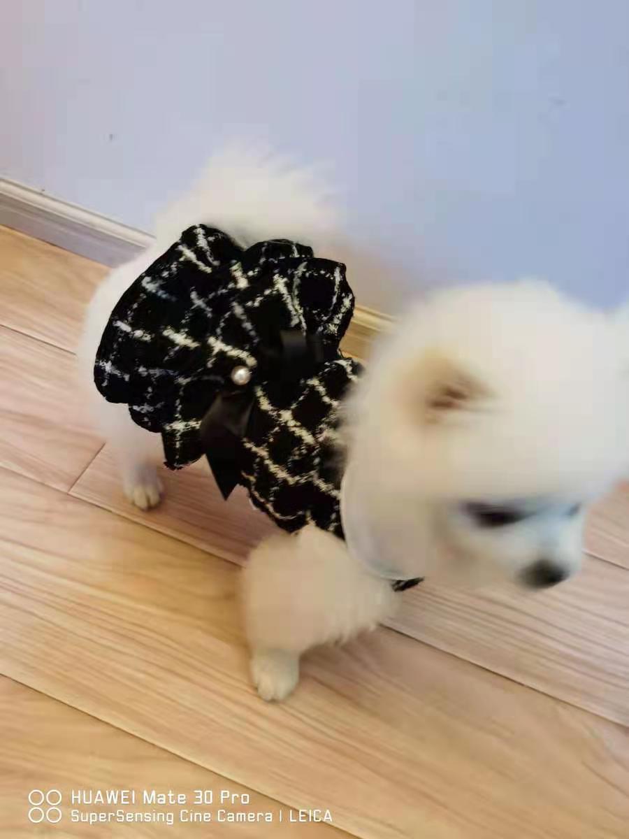 Coco Tweed Style Monochrome Pet Dress | Winter Version Available