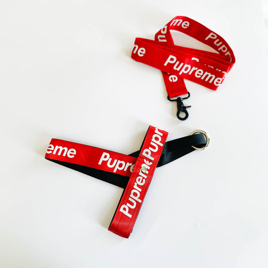 Pupreme| Bold Letters Harness & Leash Set | For Cats and Dogs