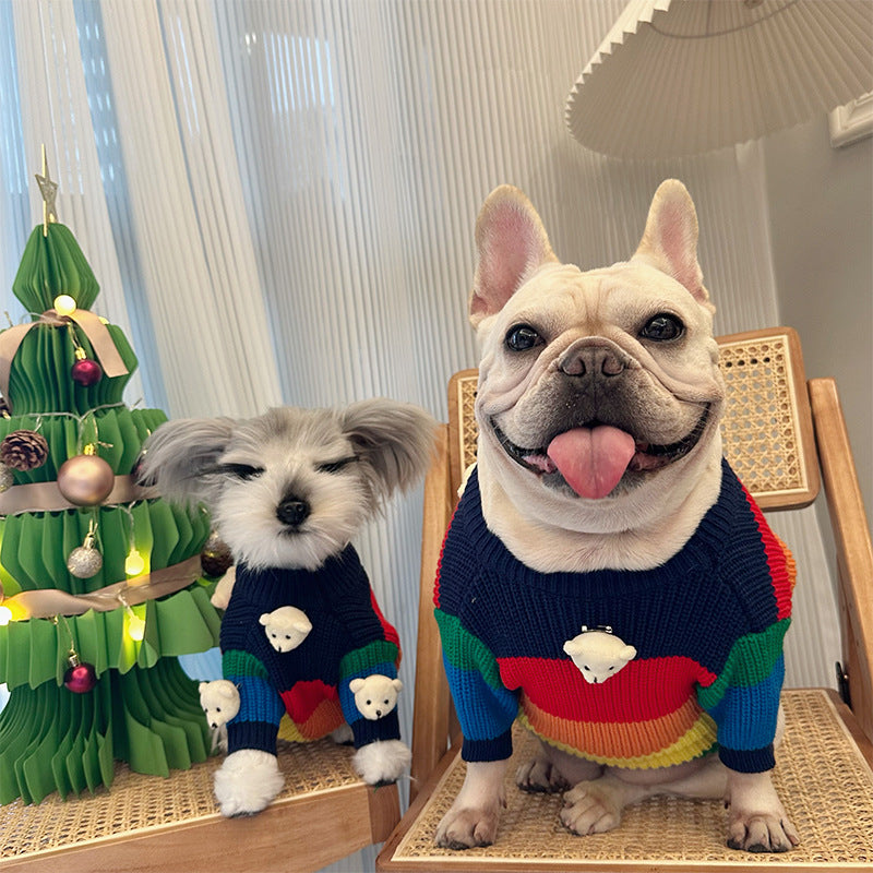 Rainbow Bear Pet Sweater