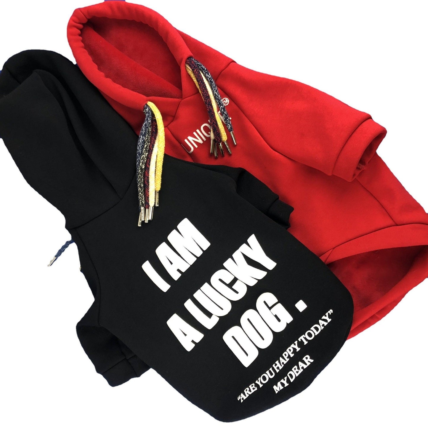 Slogan Lucky Dog Fashion Hoodie