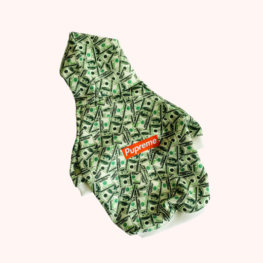 Fashion Pet Your Rich Dog Hoodie & Vest