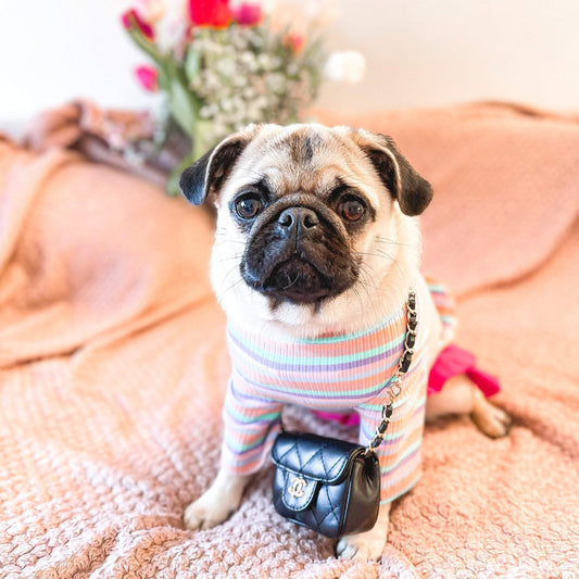 Fashion Pet Classic Chain Faux Leather Bag