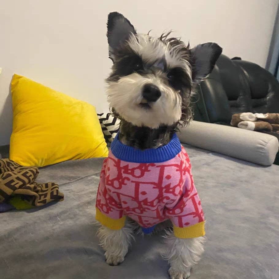 Fashion Pet Designer Inspired Pet Sweater
