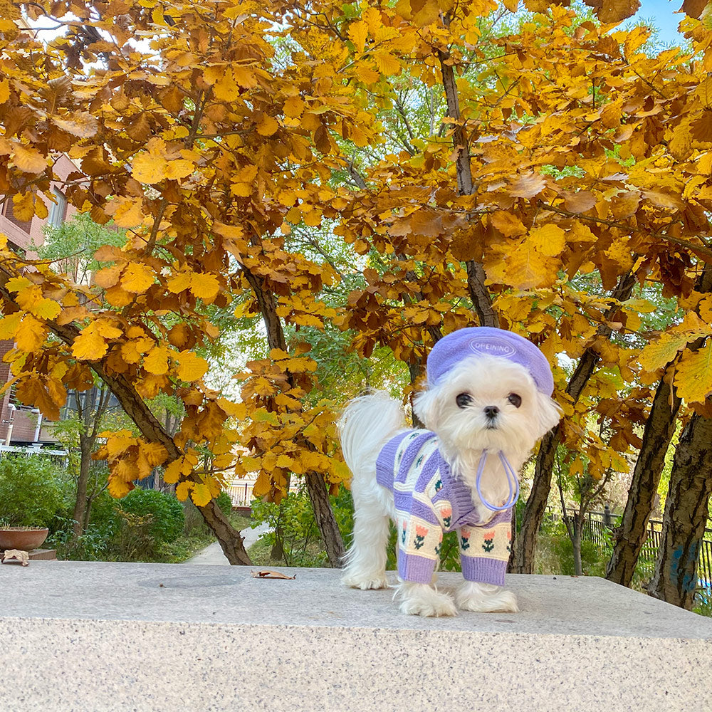 Purple Floral Pet Cardigan