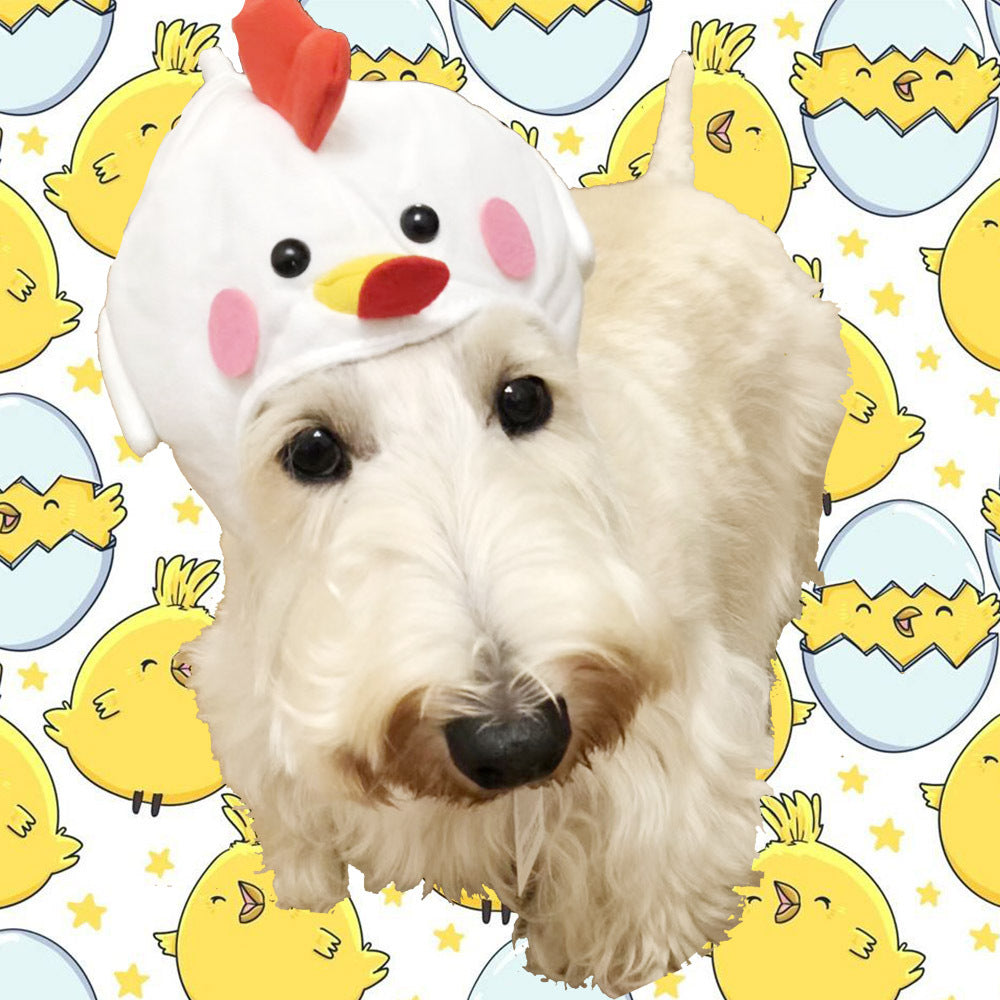 Cute Costume Chicken Hat | For Dogs and Cats