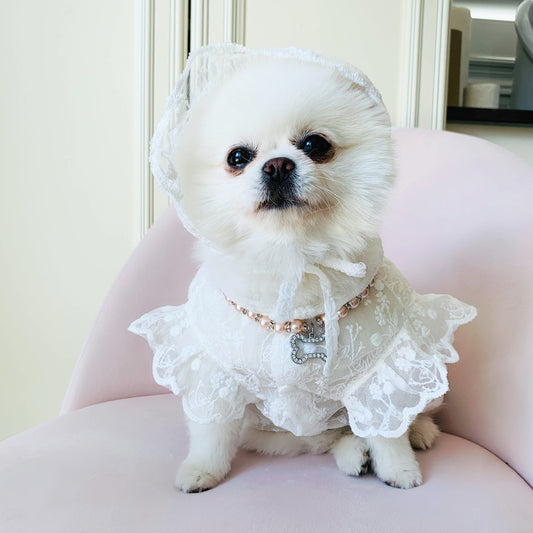 In Stock | Pet Summer Wedding Dress | Elegant White Lace | For Rabbits, Cats and Dogs