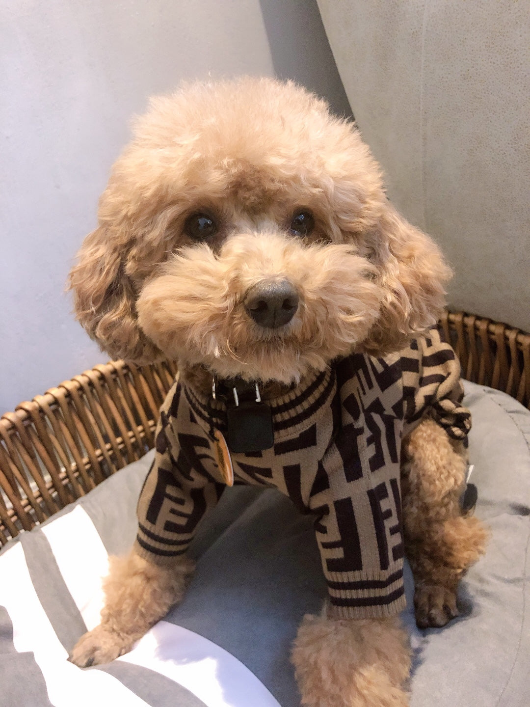 In Stock | Fashion Pet Abstract Pet Sweater