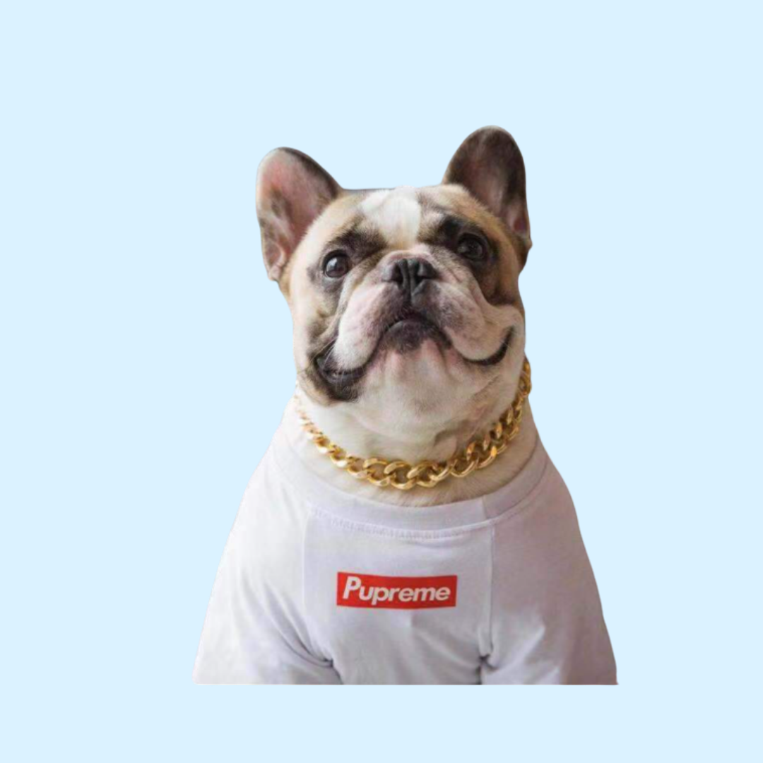 [sale] | Fashion Pet All-Season Pet T-shirt | White