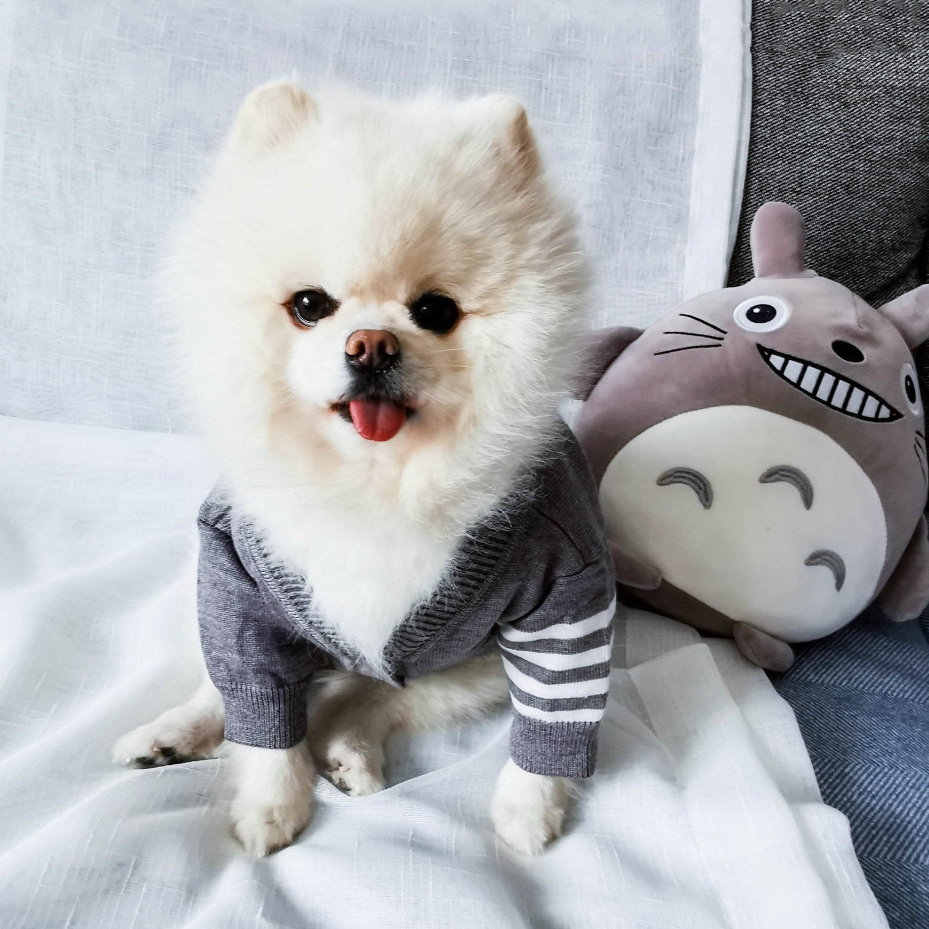 Low In Stock | Fashion Pet Designer Inspired Sweater Pet Knit Clothes - Extra Large Available