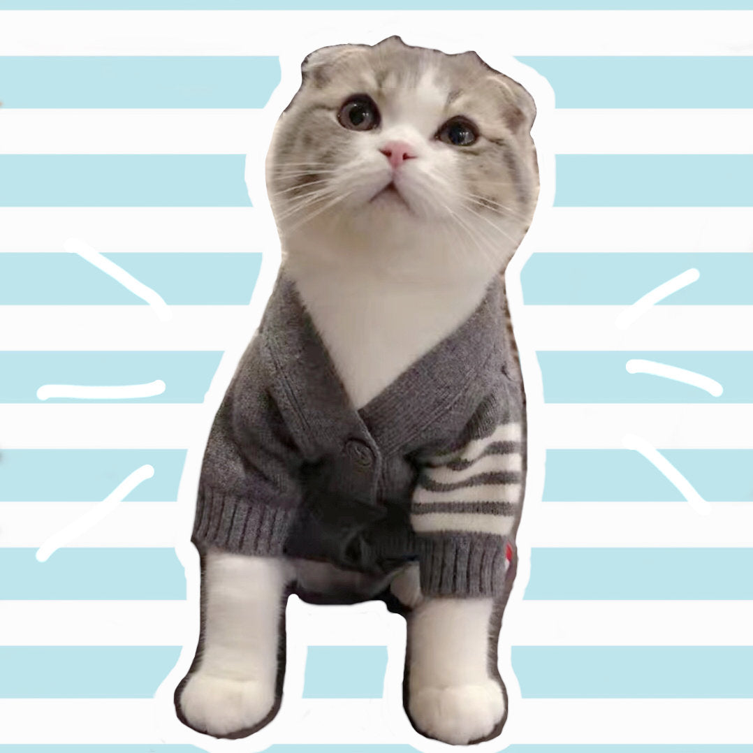 Low In Stock | Fashion Pet Designer Inspired Sweater Pet Knit Clothes - Extra Large Available